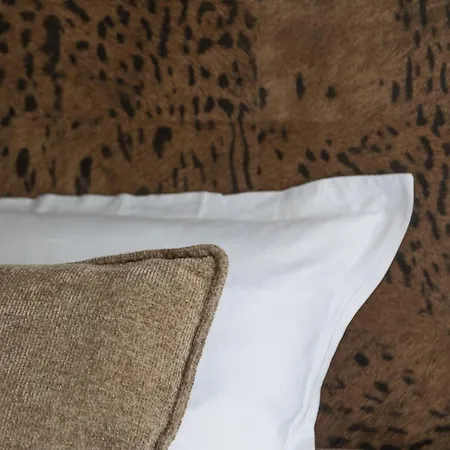 Basfroi Cosy 3 *